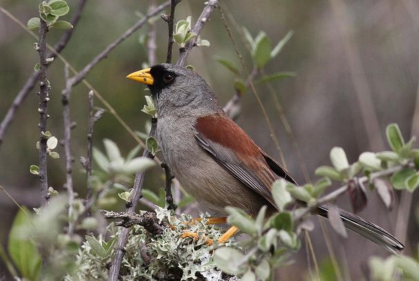 米乐M6官方入口