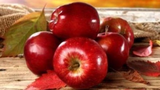 ‘米乐M6官方入口’罗伊斯伤愈在即(图1) 米乐M6