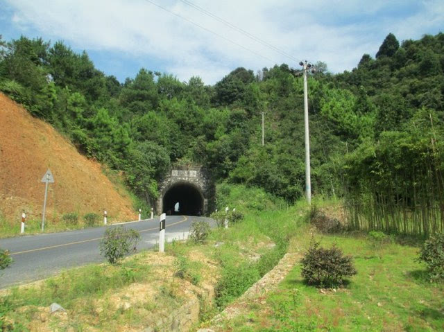 迪马济奥:莱亚利要去比利时了_m6最新官网(图1) m6最新官网