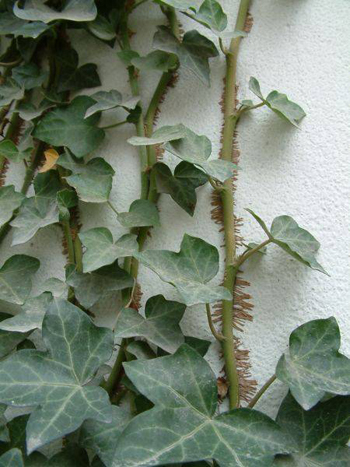 米乐M6|江西邮政局就无法投递又无法退回邮(快)件作出三项部署(图1) 米乐M6官方入口