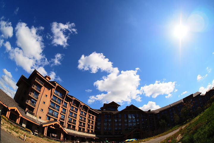 美职业: 肯萨斯竞技 VS 多伦多FC比分2:2打成平局:米乐M6(图2) m6最新官网