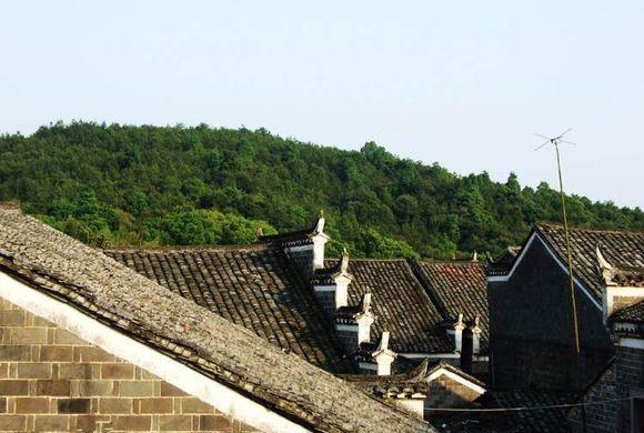 m6最新官网:2013恒大入选亚冠史最强阵!至今7年,仅剩4位球员留队(图1) m6最新官网