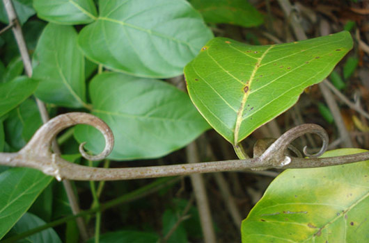 米乐M6官方入口-家具商为何不爱第三方物流?(图1) m6最新官网