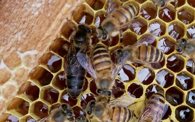 ‘米乐M6’申通快递五项举措保障全国两会期间寄递服务安全(图1) 米乐M6官方入口