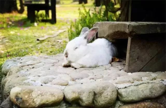 传承——这或许就是今年世界杯最大的主题‘米乐M6’(图1) 米乐M6官方入口