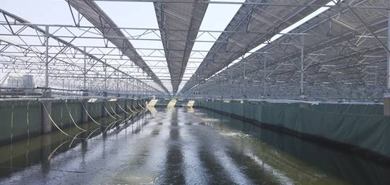 米乐M6官方入口